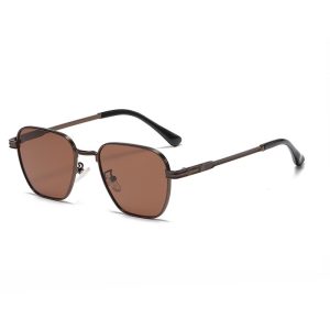 Brown Festive Sunglasses